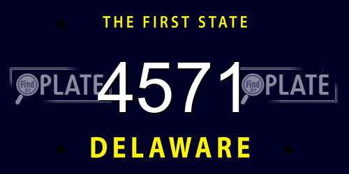 4571 Delaware License Plate