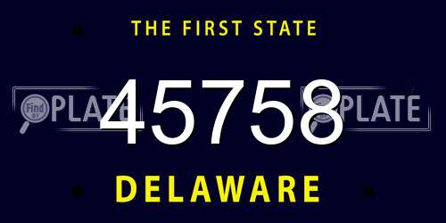 45758 Delaware License Plate