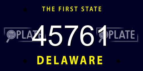 45761 Delaware License Plate