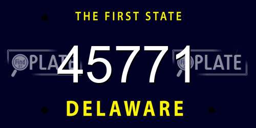 45771 Delaware License Plate