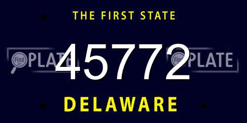 45772 Delaware License Plate