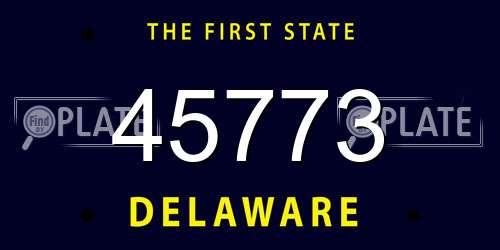 45773 Delaware License Plate