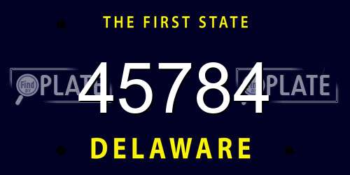 45784 Delaware License Plate