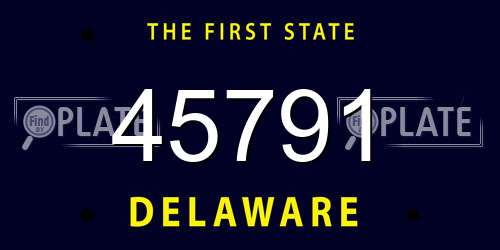 45791 Delaware License Plate