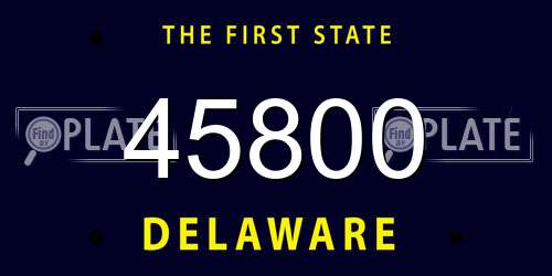 45800 Delaware License Plate