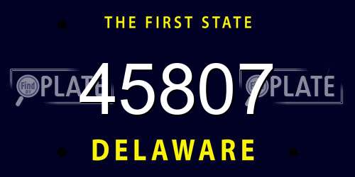 45807 Delaware License Plate
