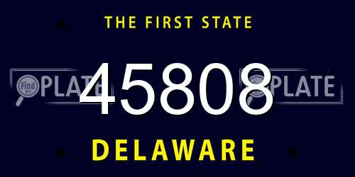 45808 Delaware License Plate