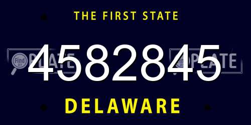 4582845 Delaware License Plate