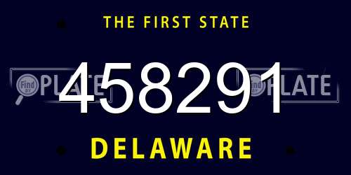 458291 Delaware License Plate