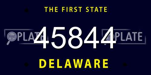 45844 Delaware License Plate