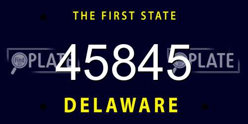 45845 Delaware License Plate