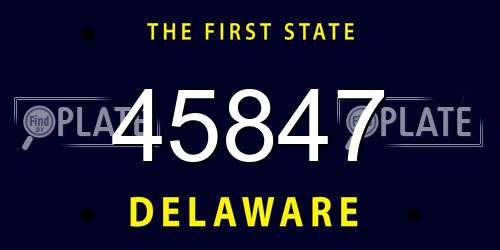 45847 Delaware License Plate