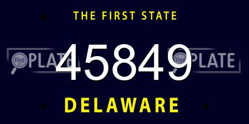 45849 Delaware License Plate