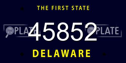 45852 Delaware License Plate