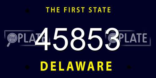 45853 Delaware License Plate