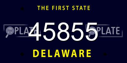 45855 Delaware License Plate