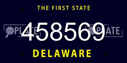 458569 Delaware License Plate