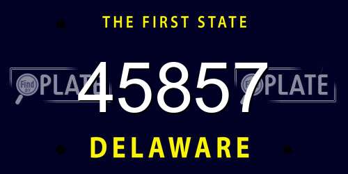 45857 Delaware License Plate