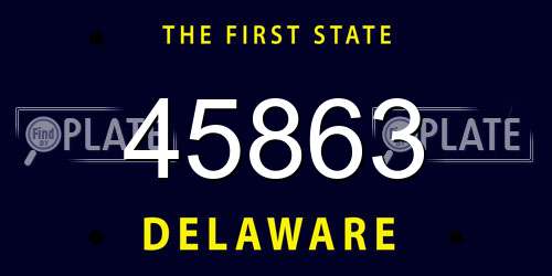 45863 Delaware License Plate