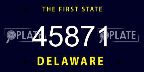 45871 Delaware License Plate