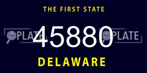 45880 Delaware License Plate