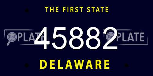 45882 Delaware License Plate