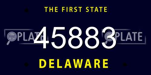 45883 Delaware License Plate