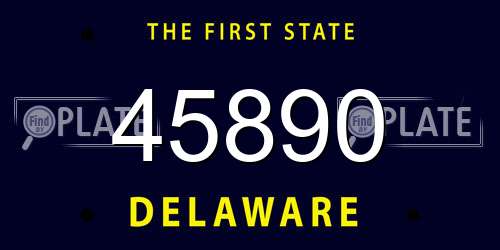 45890 Delaware License Plate
