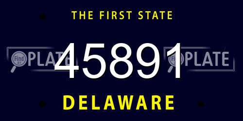 45891 Delaware License Plate