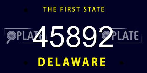 45892 Delaware License Plate