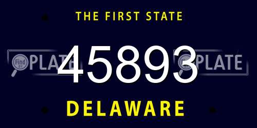 45893 Delaware License Plate