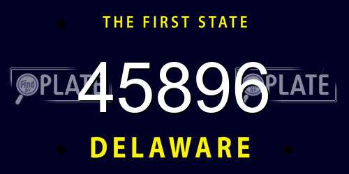 45896 Delaware License Plate