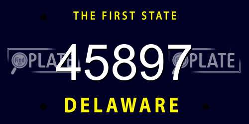 45897 Delaware License Plate