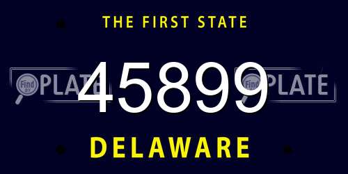 45899 Delaware License Plate