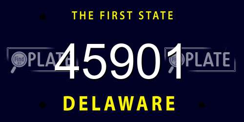 45901 Delaware License Plate