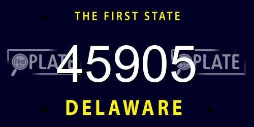 45905 Delaware License Plate