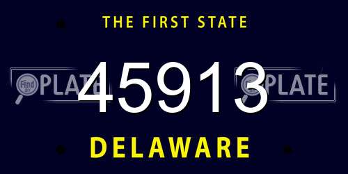 45913 Delaware License Plate