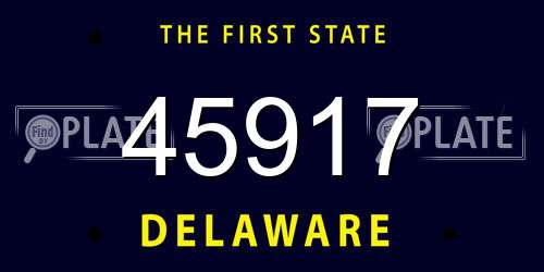 45917 Delaware License Plate