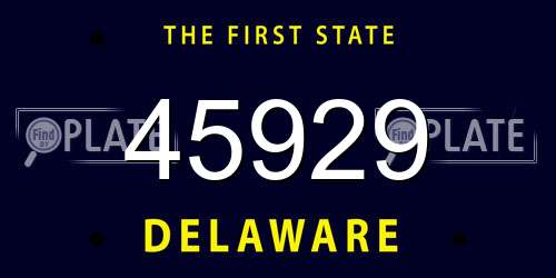 45929 Delaware License Plate