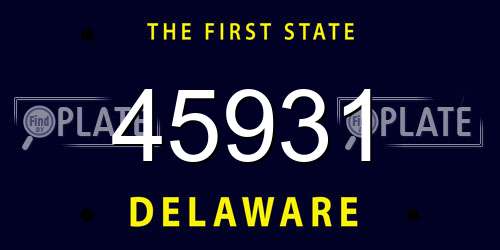 45931 Delaware License Plate