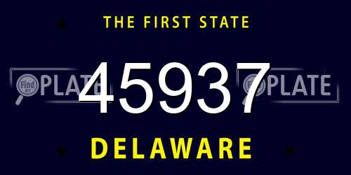 45937 Delaware License Plate