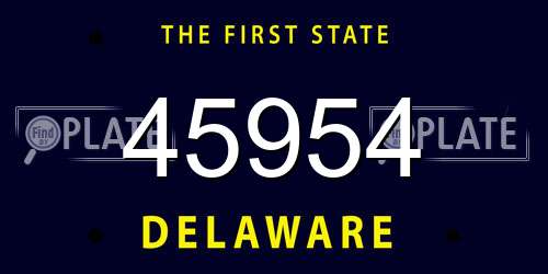45954 Delaware License Plate