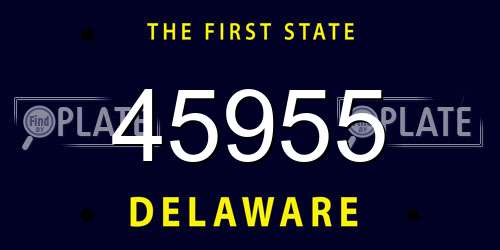 45955 Delaware License Plate
