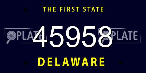 45958 Delaware License Plate