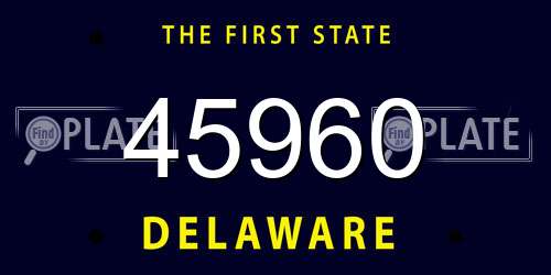 45960 Delaware License Plate