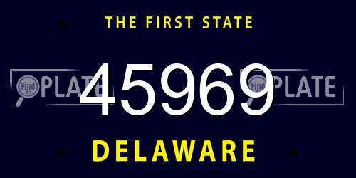 45969 Delaware License Plate