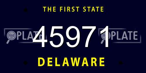 45971 Delaware License Plate