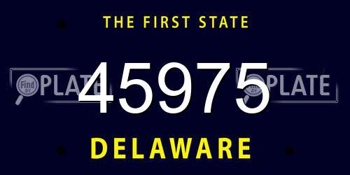 45975 Delaware License Plate