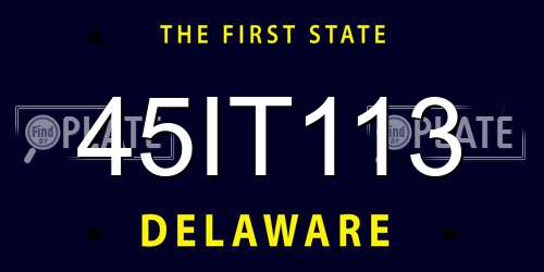 45IT113 Delaware License Plate