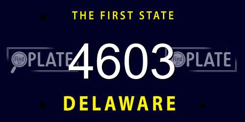 4603 Delaware License Plate